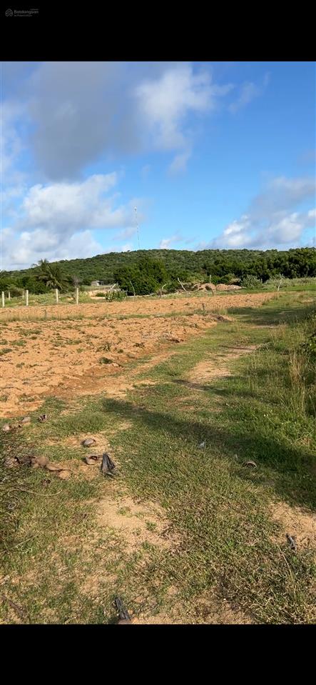 Bán đất nông nghiệp gần biển giá chỉ 800tr/1000m2