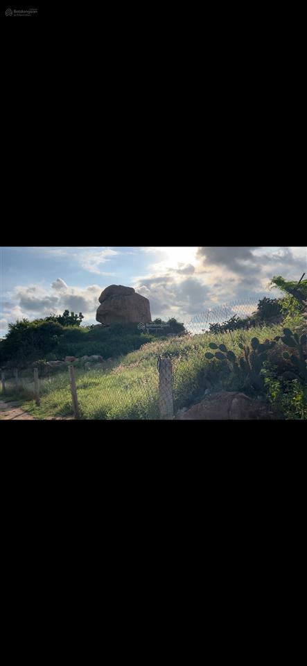 Bán đất nông nghiệp gần biển giá chỉ 800tr/1000m2