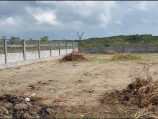 Bán đất thị trấn cần thạnh, huyện cần giờ. (dt 16x49m nở hậu = 813m2)