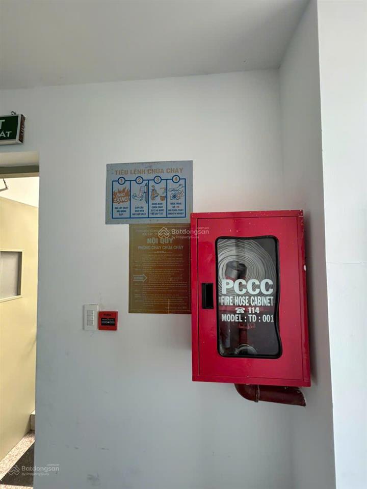 Tòa nhà cho thuê đường trương công định, phường 14. dt 12,5x25m. hầm, 6 tầng cao. pccc, mpe