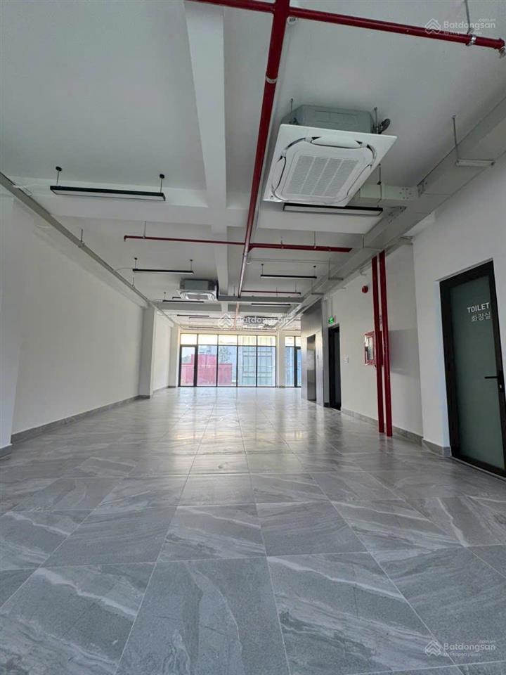 Cho thuê tòa nhà đường trương công định, phường 14. dt 8,5x18m. hầm  trệt  5 lầu. pccc đầy đủ