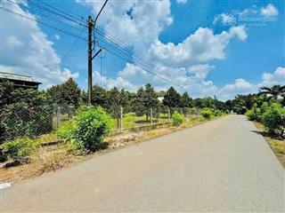 Bán đất 3000m2 tại đồng phú, bình phước chỉ với giá cực chất 200 triệu/sào