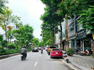 Mảnh đất đẹp 160m, phố lạc long quân, cách hồ tây 30m, 2 thoáng, ô tô tải tránh, kinh doanh