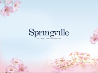 Spring ville nhơn trạch  khu đô thị liền kề sân bay quốc tế long thành,đừng bỏ lỡ cơ hội đầu tư