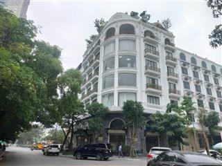 Chính chủ cần bán gấp nhà 120m2 x 7 tầng thang máy khu biệt thự vườn đào view thoáng giá 48 tỷ.
