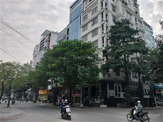 Chính chủ cần bán gấp nhà phố thọ tháp 120m2 mặt tiền 6m đường rộng thông thoáng giá 45 tỷ