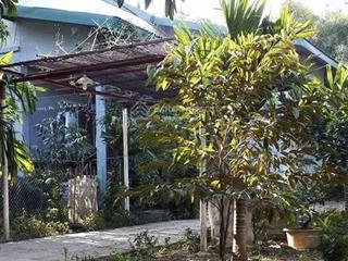 Chính chủ cần bán gấp 2 lô đất liền kề tại xã tản lĩnh,ba vì,hà nội,3,5 triệu / m2,5500 m2 giá rẻ