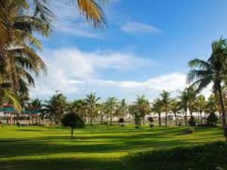 Chính chủ bán 3 lô view trực diện biển võ nguyên giáp, mân thái, sơn trà, đà nẵng, 350 triệu/m2