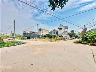 Duy nhất 1 lô đấu giá hương lạc chỉ 1080tr
