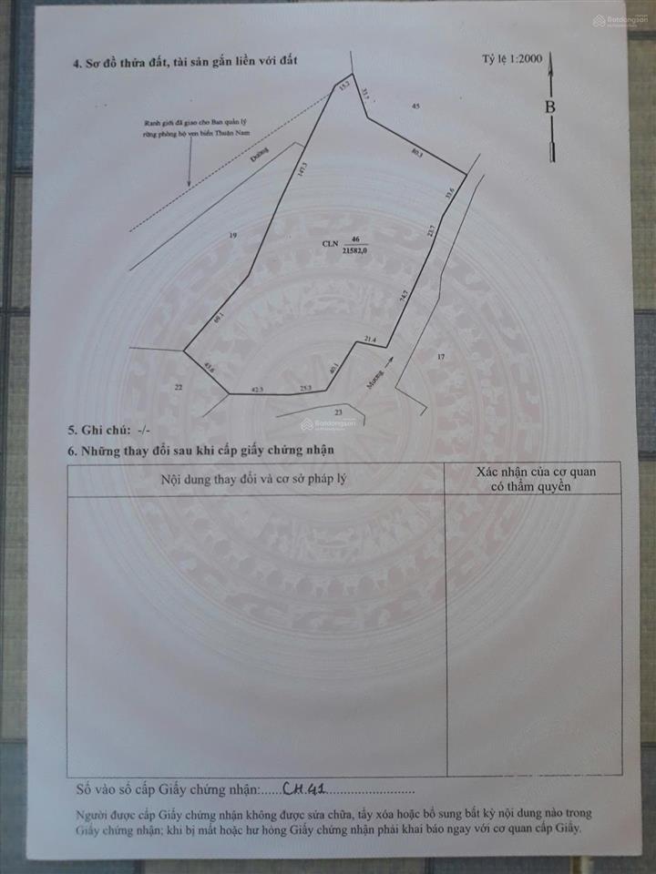 Chính chủ bán hơn 21.000m2 đất cln đang trồng mủ trôm phước dinh  khánh hòa chỉ 2,8tỷ