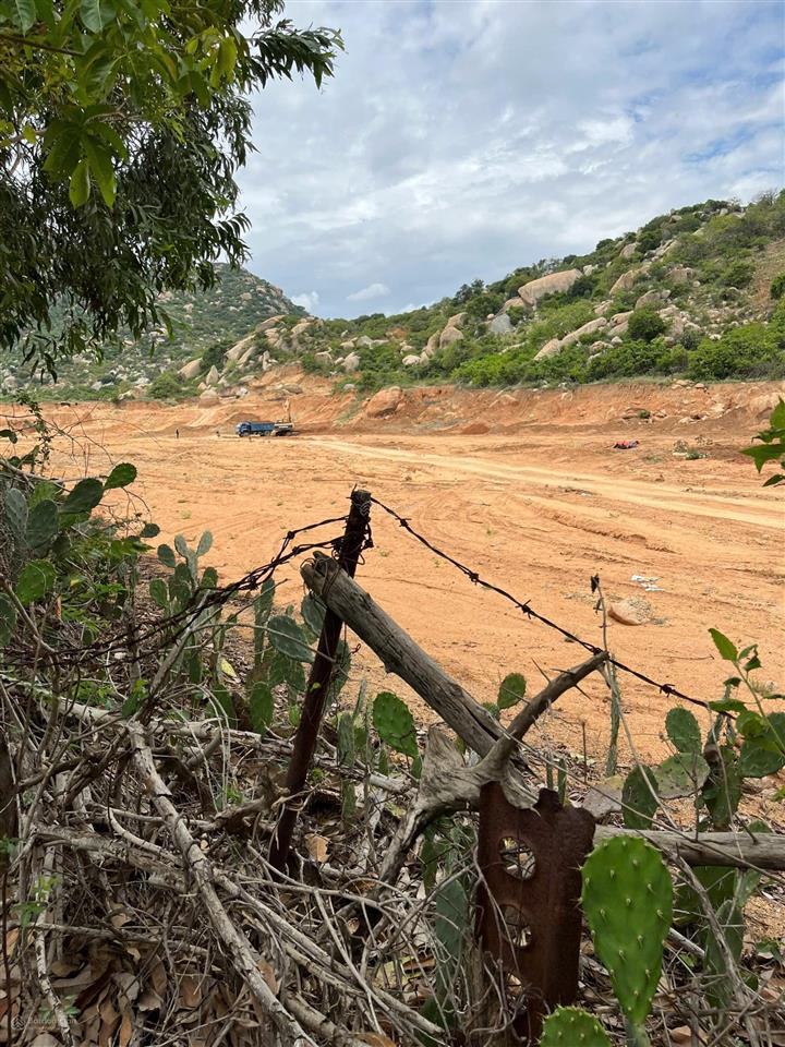 Chính chủ bán hơn 21.000m2 đất cln đang trồng mủ trôm phước dinh  khánh hòa chỉ 2,8tỷ