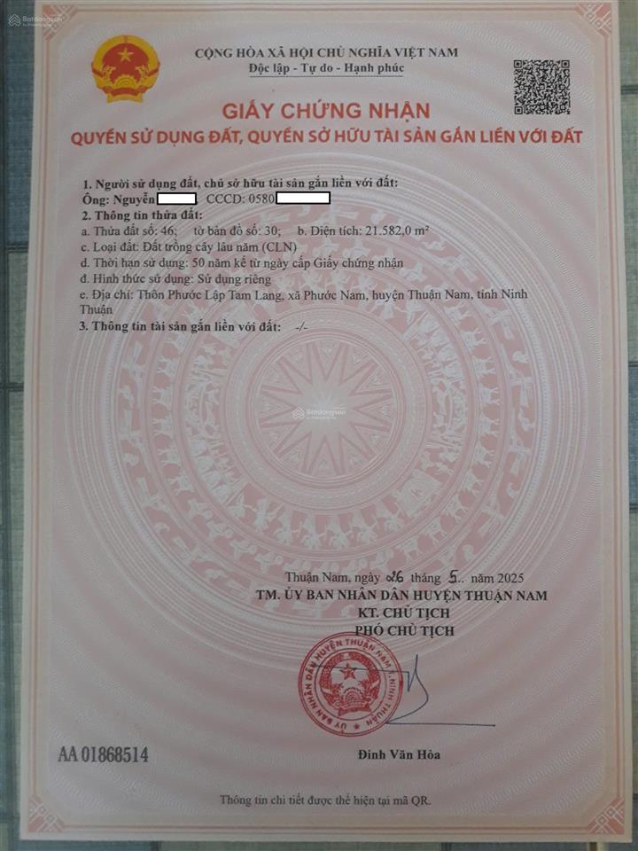 Chính chủ bán hơn 21.000m2 đất cln đang trồng mủ trôm phước dinh  khánh hòa chỉ 2,8tỷ