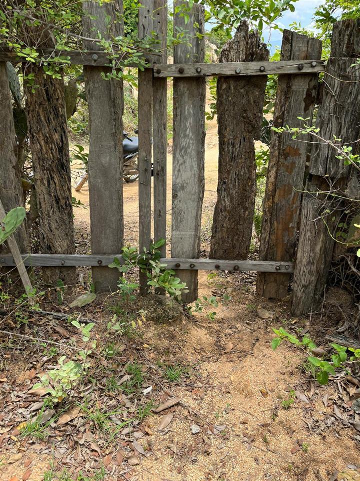 Chính chủ bán hơn 21.000m2 đất cln đang trồng mủ trôm phước dinh  khánh hòa chỉ 2,8tỷ