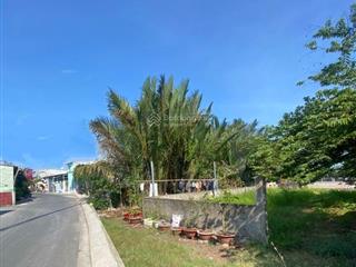 Bán đất view sông rạch tôm nhơn đức  nhà bè (8x37m)cn 270m2