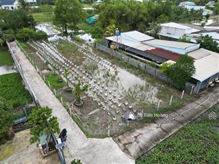 Bán đất 2 mặt tiền tại xã mỹ lộc, cần giuộc, long an giá 3.2 tỷ, 886m2 có 250m2 đất ở