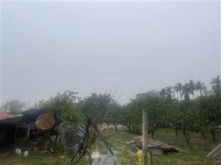 Tôi chính chủ cần bán lô đất trang trại. cấn hữu quốc oai hà nội. 3087m2 sẵn 200m2 nhà ở, vườn cây.