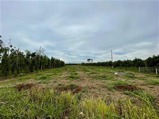 1,6 sào (20 x 83m) xã suối cao, huyện xuân lộc chỉ 1tỷ7xx