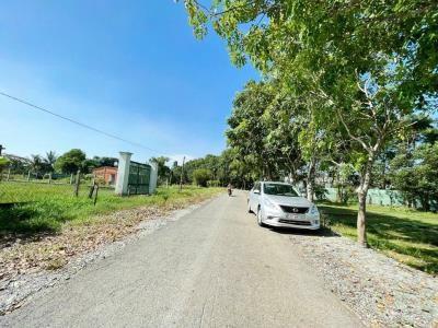 Chính Chủ Bán Đất 340m2 Đường Nguyễn Văn Xơ, Xã Thái Mỹ, Huyện Củ Chi HCM