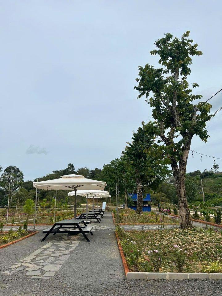 Bán đất Đang Kinh Doanh Buôn Bán ấp Bàu Chim, Xã Phú Xuân, Tân Phú Đồng Nai