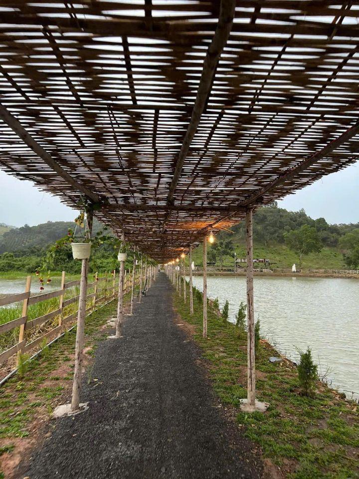 Bán đất Đang Kinh Doanh Buôn Bán ấp Bàu Chim, Xã Phú Xuân, Tân Phú Đồng Nai