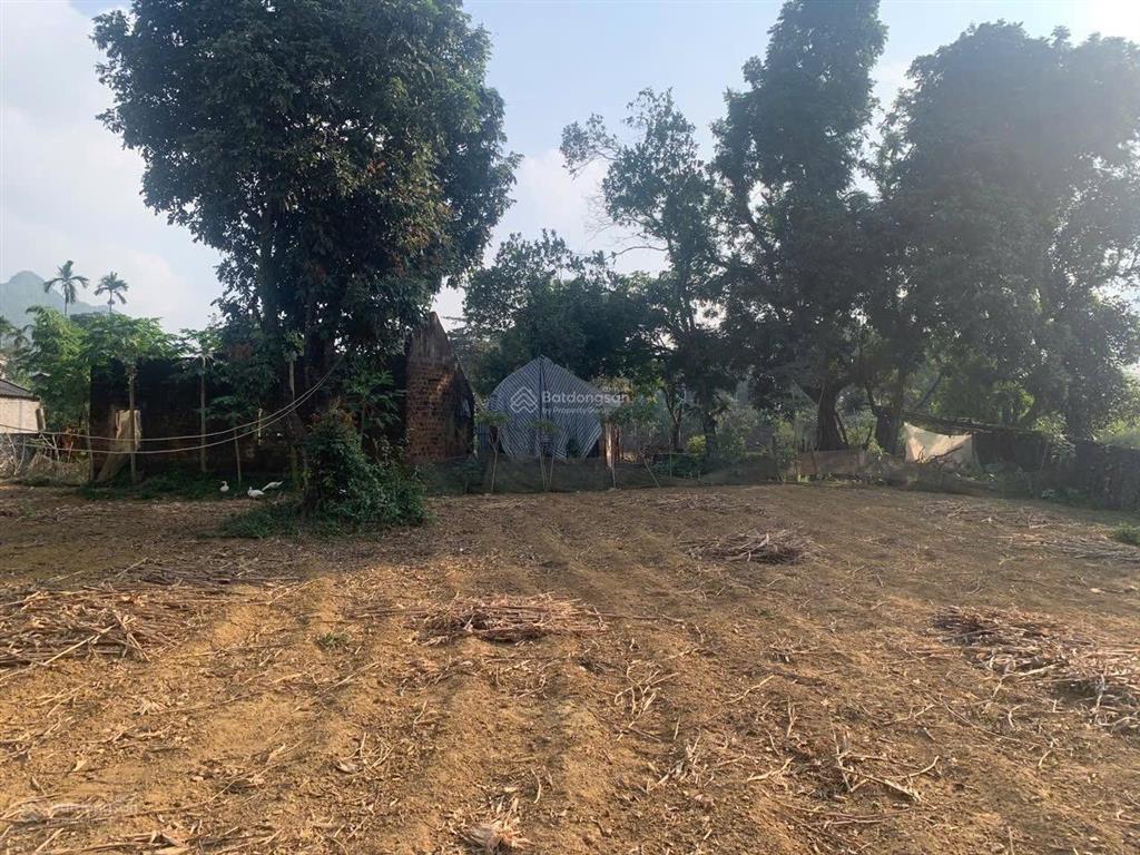 Bán 2850m đất thổ cư đất vườn giá đầu tư tại lương sơnhoà bình giá đầu tư