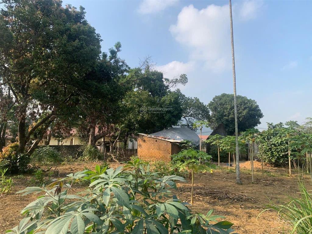 Bán 2850m đất thổ cư đất vườn giá đầu tư tại lương sơnhoà bình giá đầu tư