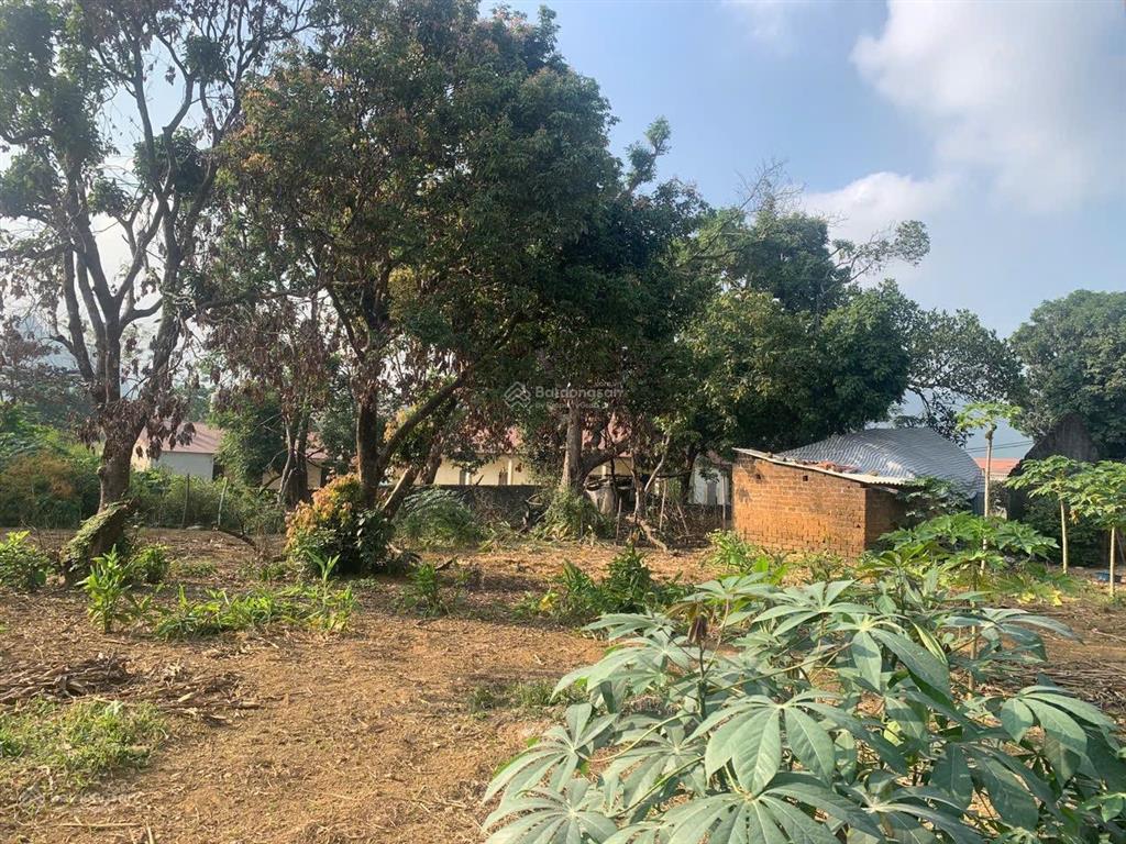 Bán 2850m đất thổ cư đất vườn giá đầu tư tại lương sơnhoà bình giá đầu tư