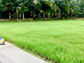 Chính chủ ngộp 126m2. giáp kv 4/tt đức hòa 720 triệu tl chính chủ