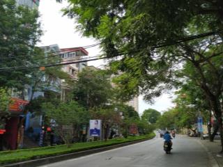 Bán đất lạc long quân, tây hồ, 80m² lô góc, nở hậu, ô tô đỗ cửa  vị trí vàng xây ccmn, chdv