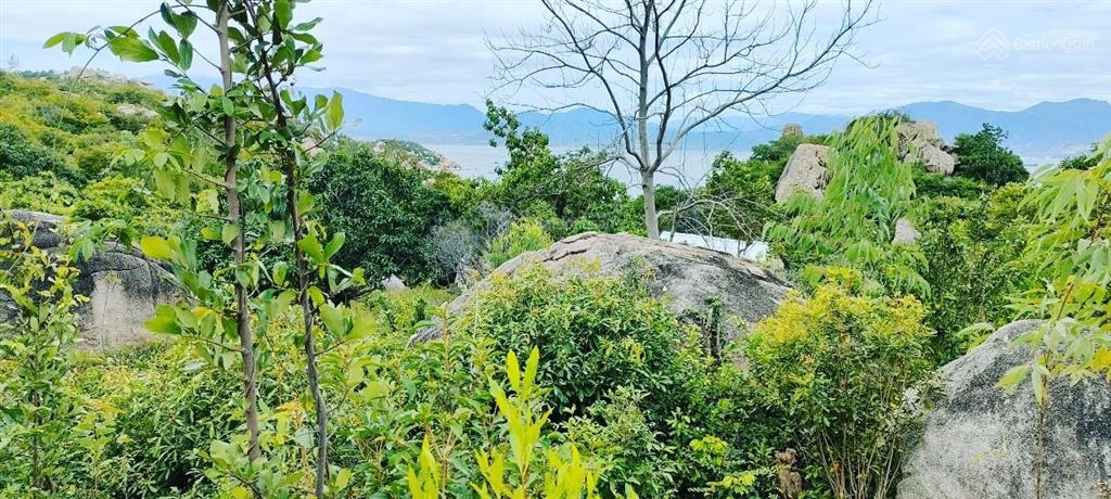Đất bình lập, sát sao biển resort 699 triệu