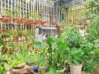 Nhà diên phú, sát bên uỷ ban xã diên phú cách ql1a 80m giá 3 tỷ 350 triệu