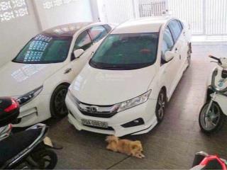 Nhà 2 mặt tiền  hẻm ô tô nguyễn khắc viện * cách biển 300m