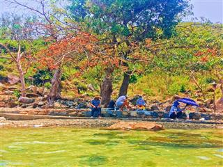 Mặt biển đảo bích đầm, siêu đẹp * mặt biển dài 50m