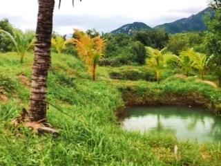 Lô vườn cam phúc bắc  có suối. cách sân bay cam ranh 10km
