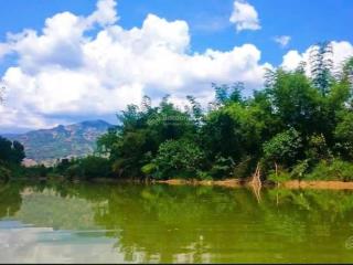 { view sông suối dầu  suối cát cam lâm ] * cách ql1a  100m  giá  1 tỷ 368 triệu