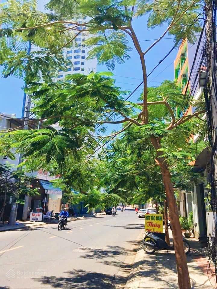 (2 mặt tiền dương hiến quyền, dt 255m²), hướng đông nam