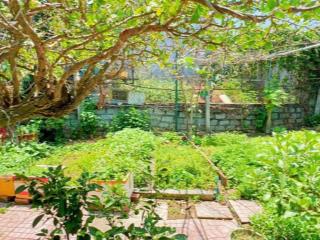 [ 323m² mini nhà vườn  hẻm ô tô nguyễn khắc viện ] * ngang 16m * giá  12 tỷ