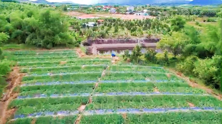 1,6ha ôm trọn suối gần 350m  giáp đường ô tô dài hơn 160m xã sông cầu, giá mềm 5,5 tỷ