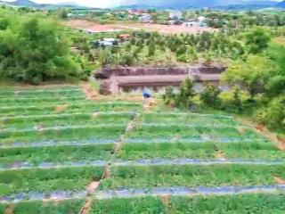 1,6ha ôm trọn suối gần 350m  giáp đường ô tô dài hơn 160m xã sông cầu, giá mềm 5,5 tỷ
