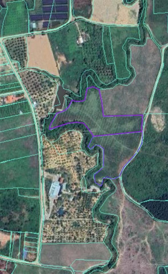 1,6ha ôm trọn suối gần 350m  giáp đường ô tô dài hơn 160m xã sông cầu, giá mềm 5,5 tỷ