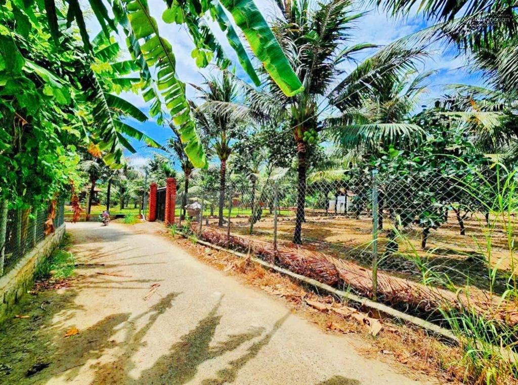 [ đất dân đắc lộc  xung quanh trồng dừa xum xuê ] * cách ql1a 900m.  giá 999 triệu