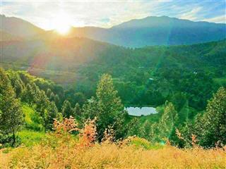 Gần 3ha sầu lâu năm khánh trung  thu hoạch mạnh mẽ giáp suối 300m siêu mê ,ô tô vi vu giá 6,99 tỷ