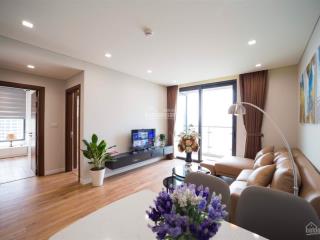 Cho thuê căn hộ chung cư ngọc khánh plaza  số 1 phạm huy thông, 160m2, 3pn, đủ đồ, giá 20 tr/th