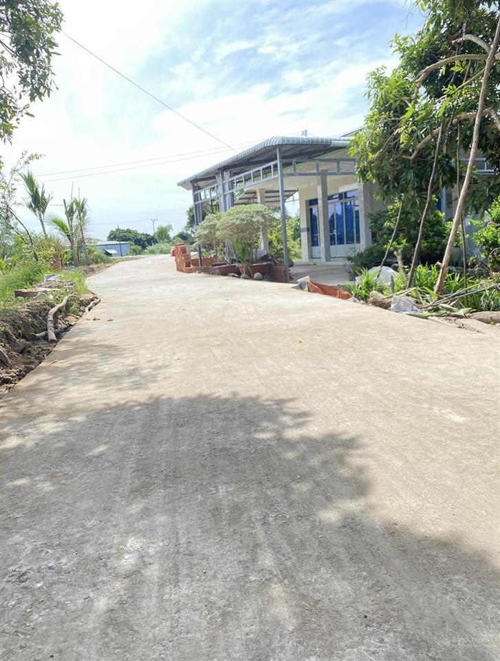 Bán đất tại an nhơn, châu thành, đồng tháp, 9,5 tỷ, 8250 m2 giá tốt