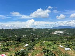 Đất vườn sẵn nguồn thu view thoáng đẹp đinh văn