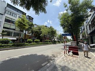 Bán nhà Mặt Phố Lạc Long Quân gần 300m2, MT 8.5m