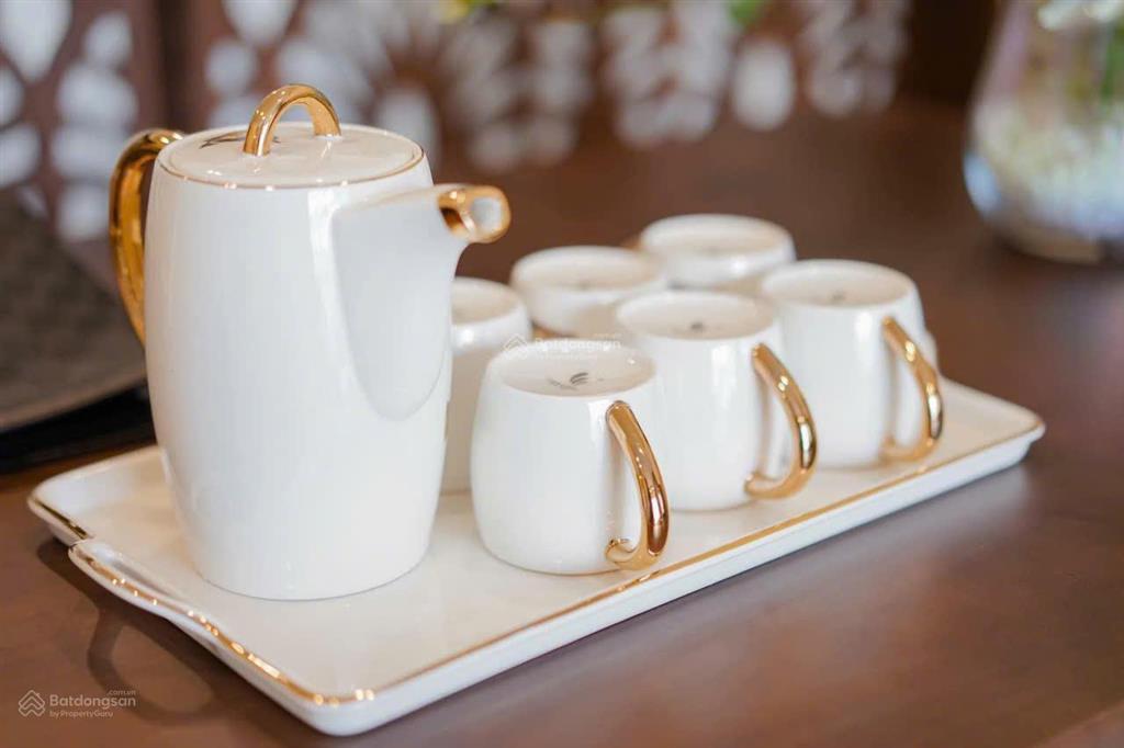 Trung tâm hạ cho thuê căn hộ chung cư tầng 5, view thành phố tòa s1 the shapphire hạ long.