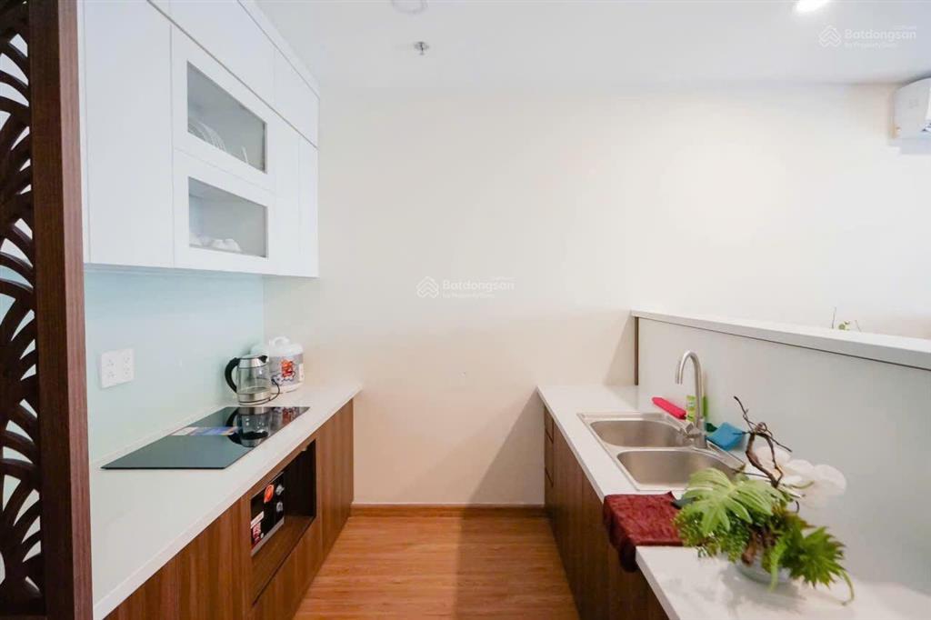 Trung tâm hạ cho thuê căn hộ chung cư tầng 5, view thành phố tòa s1 the shapphire hạ long.