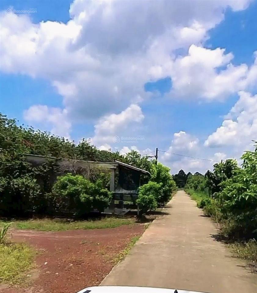 Bán lô đất 5000m2 chơn thành, đồng nai giá 1 tỷ