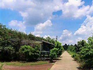 Bán lô đất 5000m2 chơn thành, đồng nai giá 1 tỷ